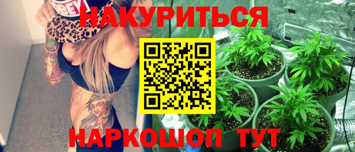 Бошки Шишки OG Kush Соль-Илецк